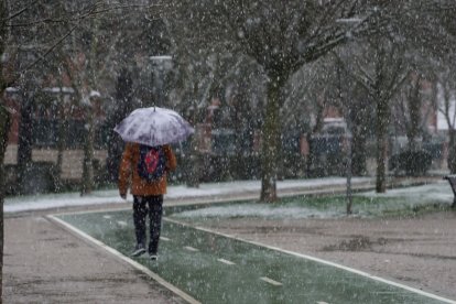 Nieve en la ciudad de Valladolid.- ICAL