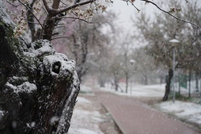 Nieve en la ciudad de Valladolid.- ICAL