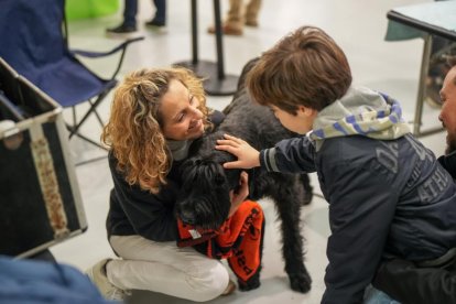 Segunda jornada de Fimascota en la Feria de Valladolid - PHOTOGENIC