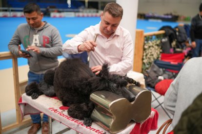 Segunda jornada de Fimascota en la Feria de Valladolid - PHOTOGENIC