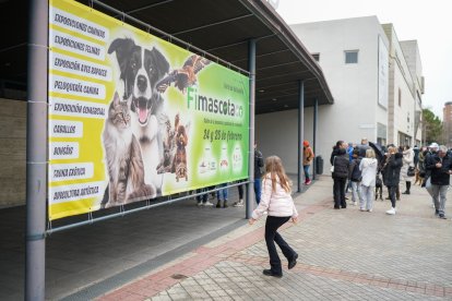 Segunda jornada de Fimascota en la Feria de Valladolid - PHOTOGENIC
