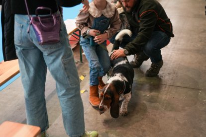 Segunda jornada de Fimascota en la Feria de Valladolid - PHOTOGENIC