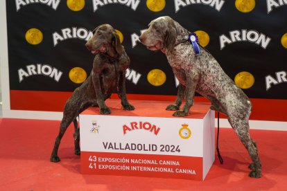 Segunda jornada de Fimascota en la Feria de Valladolid - PHOTOGENIC