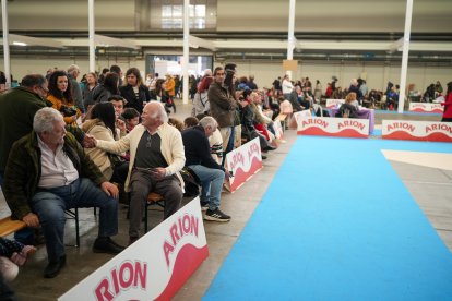 Segunda jornada de Fimascota en la Feria de Valladolid - PHOTOGENIC