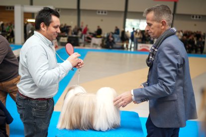 Segunda jornada de Fimascota en la Feria de Valladolid - PHOTOGENIC