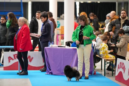 Segunda jornada de Fimascota en la Feria de Valladolid - PHOTOGENIC