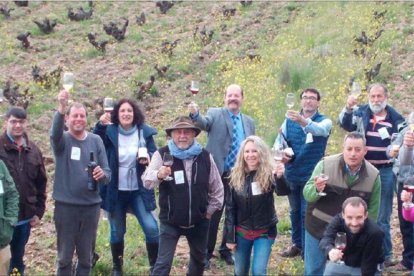 El camino para la aprobación de la DOP Vinos de Cebreros (BOE del 17 de mayo de 2017) comenzó con la Asociación Vinos de Cebreros , formada en 2014 por un  grupo de viticultores y bodegueros. Recuperó y trabajó 2.500 hectáreas de viña, de 35 municipios, cultivada a entre 700 y 1.000 metros de altitud. La variedad tinta garanacha ocupa el 70% del viñedo.