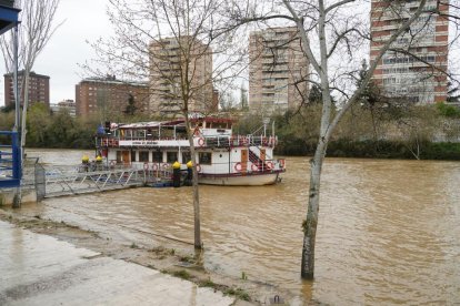 Crecida del río Pisuerga a la altura de Las Moreras
