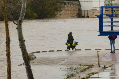 Crecida del río Pisuerga a la altura de Las Moreras