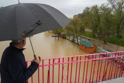 Crecida del río Pisuerga a la altura de Las Moreras