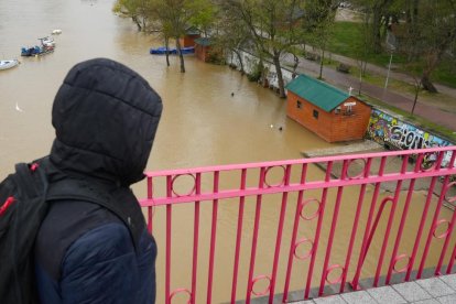 Crecida del río Pisuerga a la altura de Las Moreras