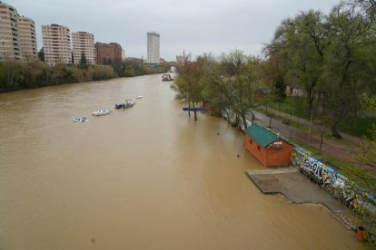 Crecida del río Pisuerga a la altura de Las Moreras