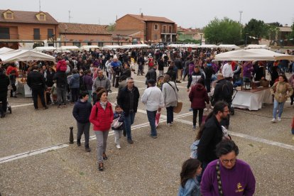 Fuensaldaña regresa al medievo en homenaje a Edward Cooper