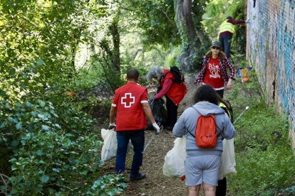 Voluntarios de 'Ama el Pisuerga' recogiendo basura en el callejón de la Alcoholera.