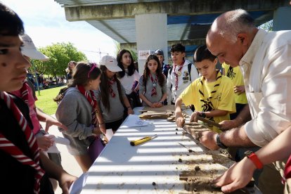 Reunión de grupo de Scouts en Laguna de Duero.