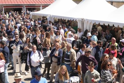 El pueblo de La Seca disfruta de la Fiesta del Verdejo