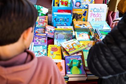 Ejemplares por el Día del Libro en Valladolid