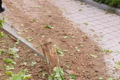Vuelco de un vehículo en la avenida de Salamanca de Valladolid