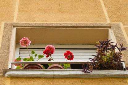 Un balcón con plantas en la calle de los Alamillos en Valladolid