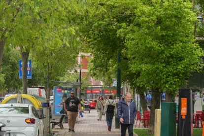 Paseo en la calle de los Alamillos de Valladolid