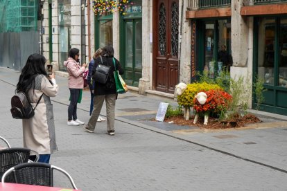 Imágenes de 'Platerías en Flor'