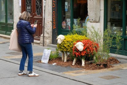 Imágenes de 'Platerías en Flor'