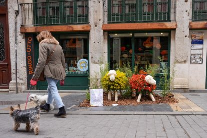 Imágenes de 'Platerías en Flor'