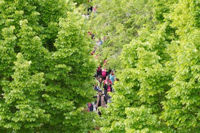 Celebración de la Marcha Asprona.