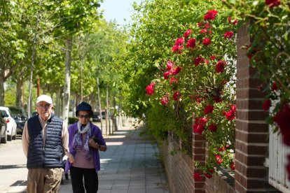 Una pareja pasea por la Cañada Real