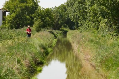 Acequia en la Cañada Real