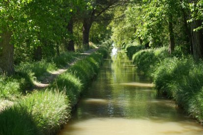 Acequia en la Cañada Real