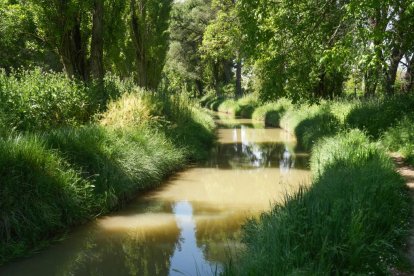 Acequia en la Cañada Real