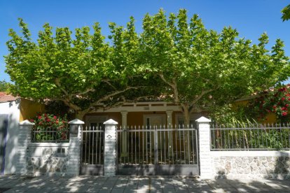 Una vivienda en la Cañada Real