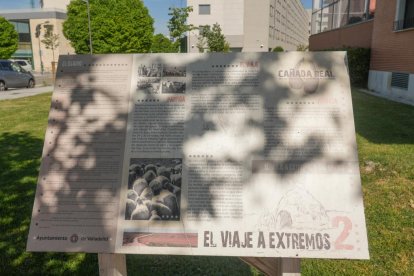 Historia de la trashumancia en la Cañada Real