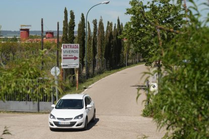 Viveros Gimeno en la Cañada Real