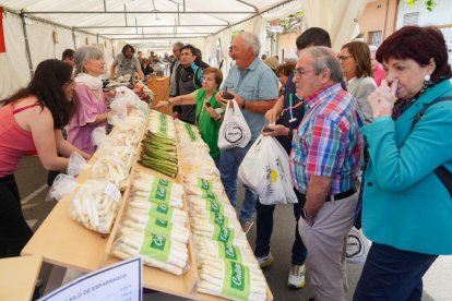 Feria del Espárrago en Tudela de Duero en Valladolid