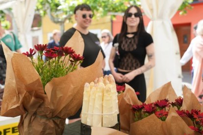 Feria del Espárrago en Tudela de Duero en Valladolid