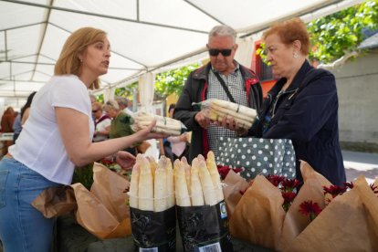 Feria del Espárrago en Tudela de Duero en Valladolid