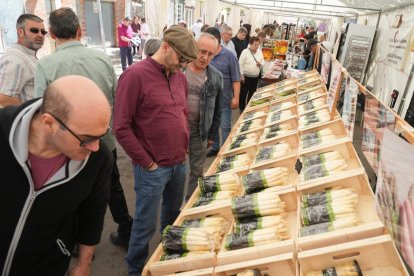 Feria del Espárrago en Tudela de Duero en Valladolid