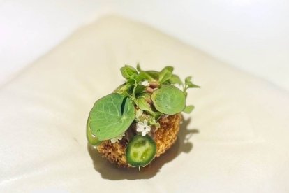 Pincho del restaurante Flamma en Valladolid