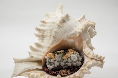 Pincho del restaurante Verde Oliva en Valladolid