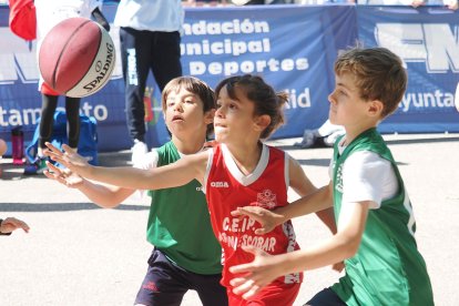 Celebración del 'Día del minibasket' en Valladolid