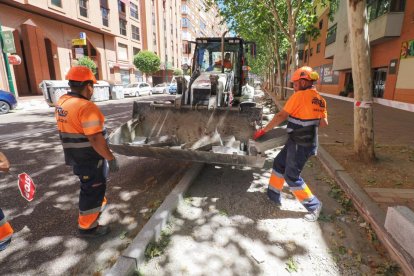 Obras para el nuevo carril bici en el paseo Juan Carlos I.