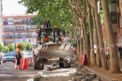 Obras para el nuevo carril bici en el paseo Juan Carlos I.