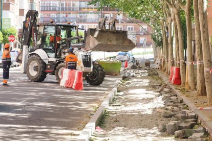 Obras para el nuevo carril bici en el paseo Juan Carlos I.