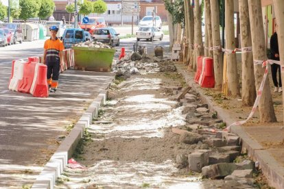 Obras para el nuevo carril bici en el paseo Juan Carlos I.