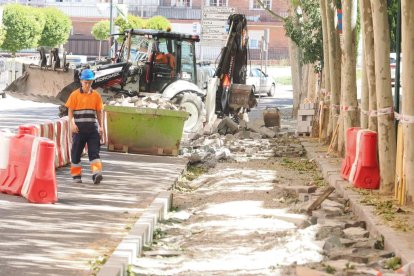 Obras para el nuevo carril bici en el paseo Juan Carlos I.
