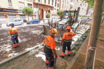 Obras para el nuevo carril bici en el paseo Juan Carlos I.