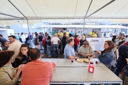 Inicio de las fiestas de San Antonio