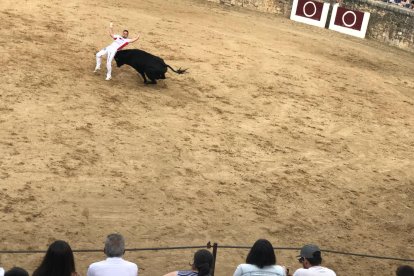 Toros en las fiestas de Medina de Rioseco